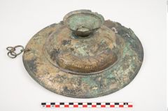 Foto von Bronzebreitrandfußschale (NHMW-PRAE-026038)